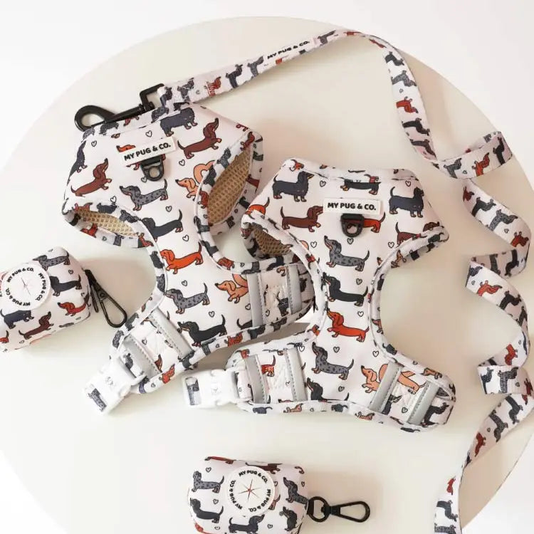 Pettorina Regolabile Imbottita Anti-Fuga per Bassotti