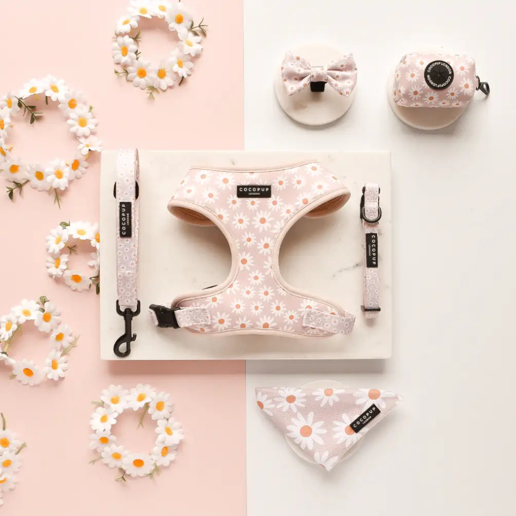 Pettorina regolabile Daisy Chain