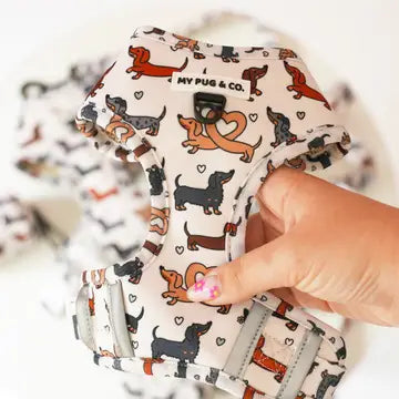 Pettorina Regolabile Imbottita Anti-Fuga per Bassotti