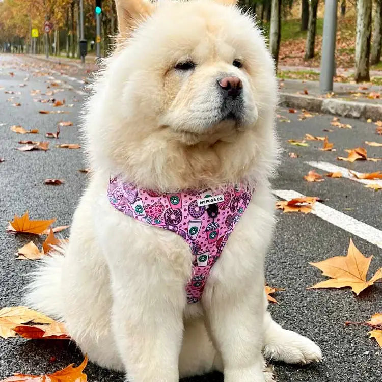 Pettorina Regolabile Imbottita Dogpuccino