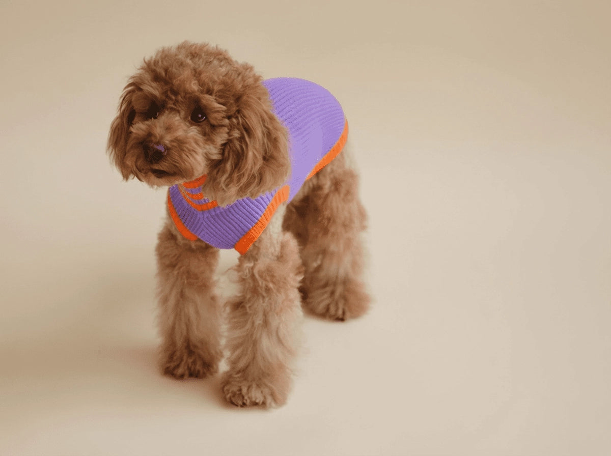 The Glow Jumper 2.0 - Neon Dog Sweater