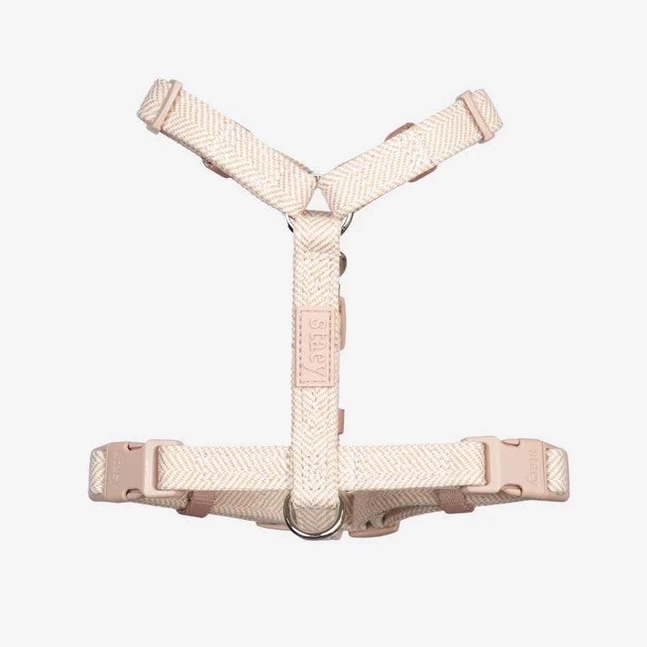Tara H-Strap Dog Harness