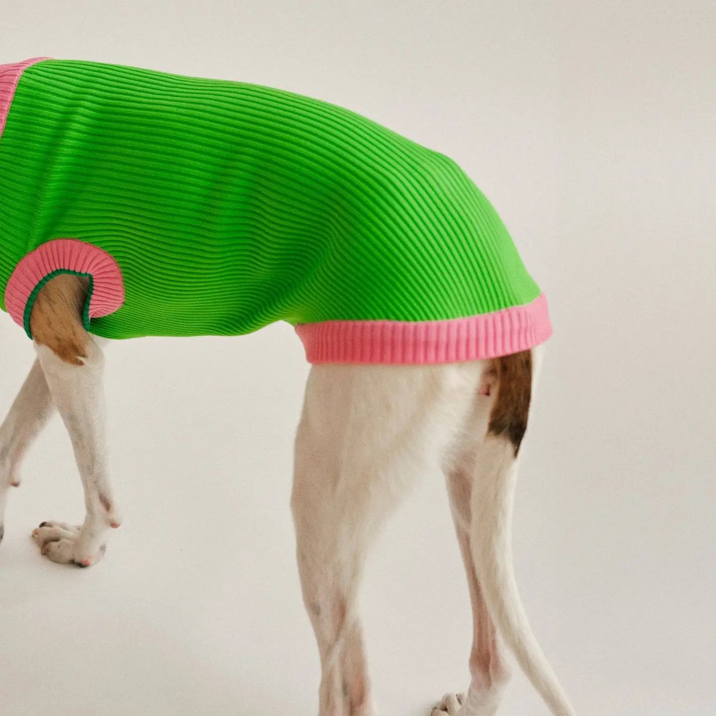 The Glow Jumper 2.0 - Neon Dog Sweater
