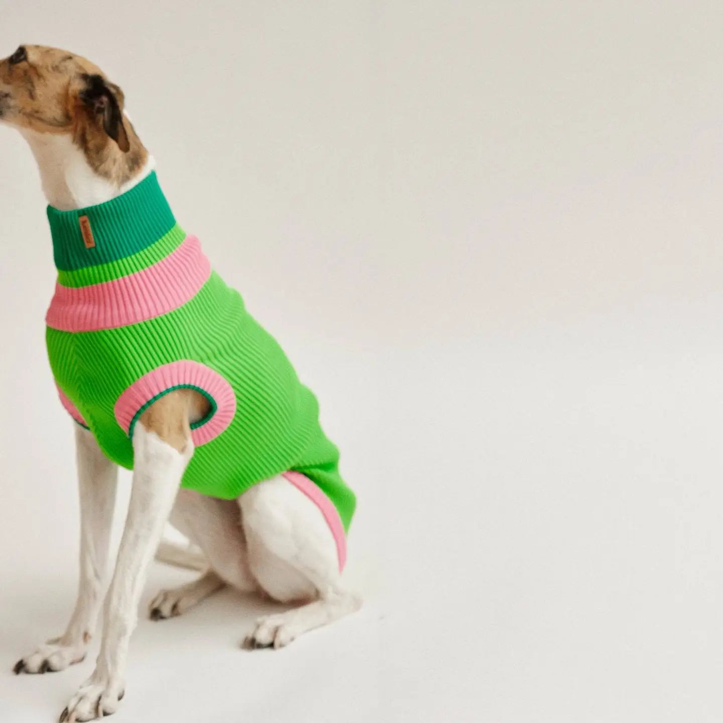 The Glow Jumper 2.0 - Neon Dog Sweater