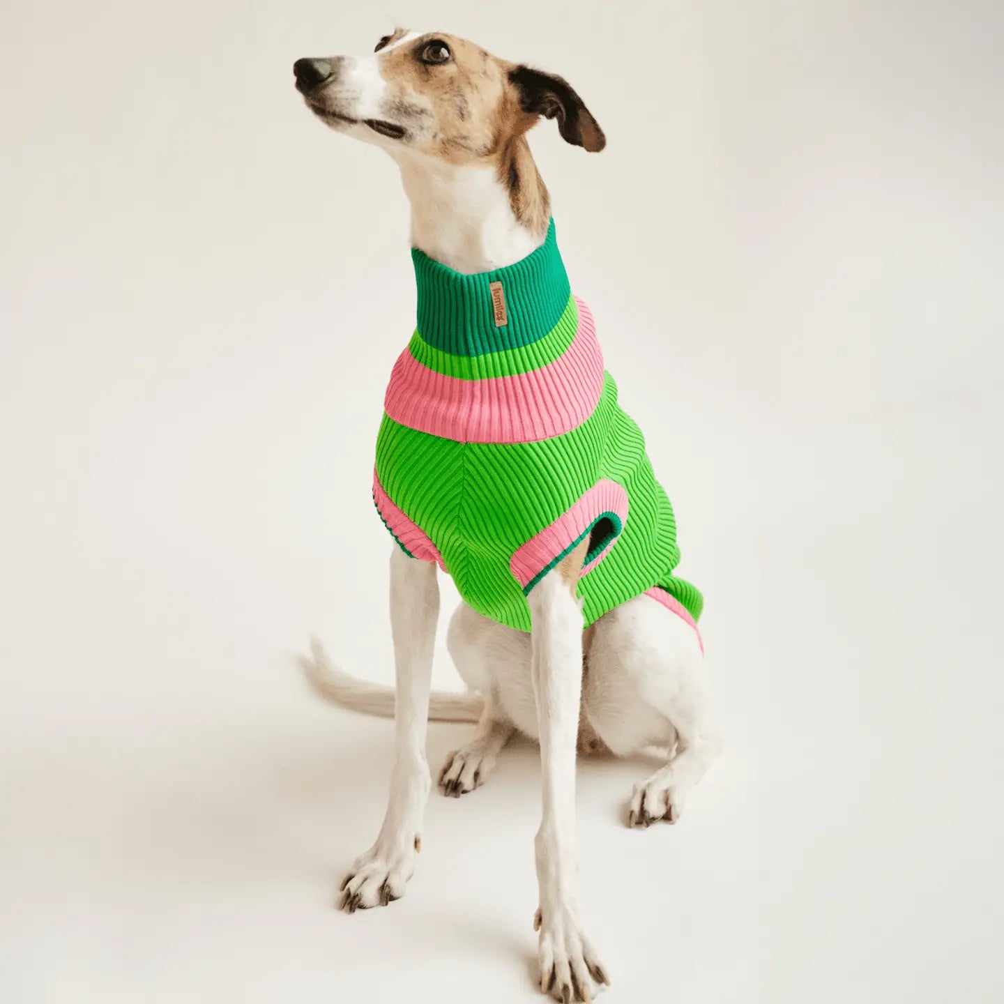 The Glow Jumper 2.0 - Neon Dog Sweater