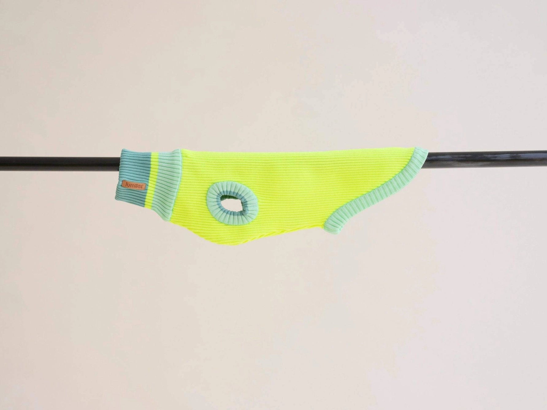The Glow Jumper 2.0 - Neon Dog Sweater
