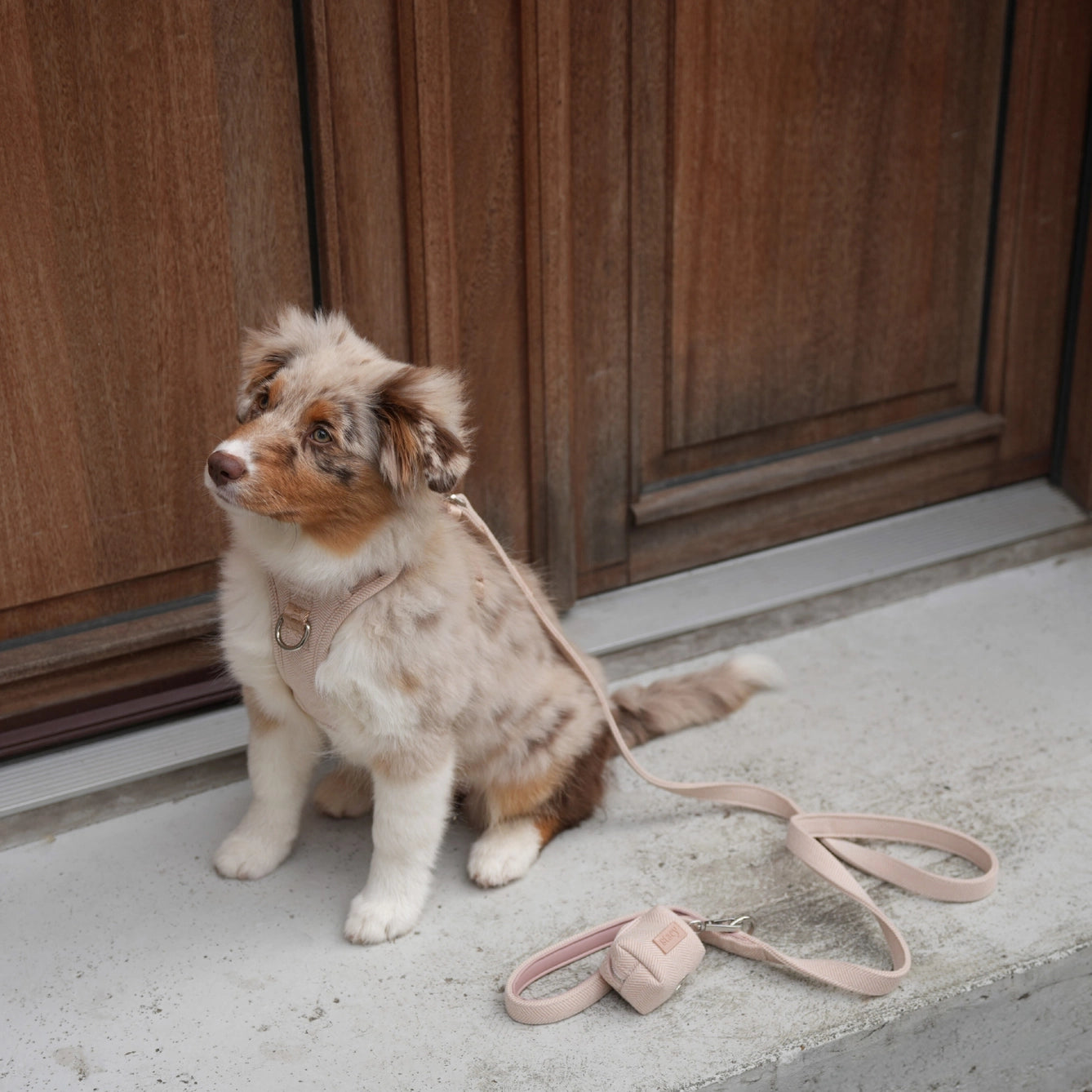 Elma Poop Bag Holder