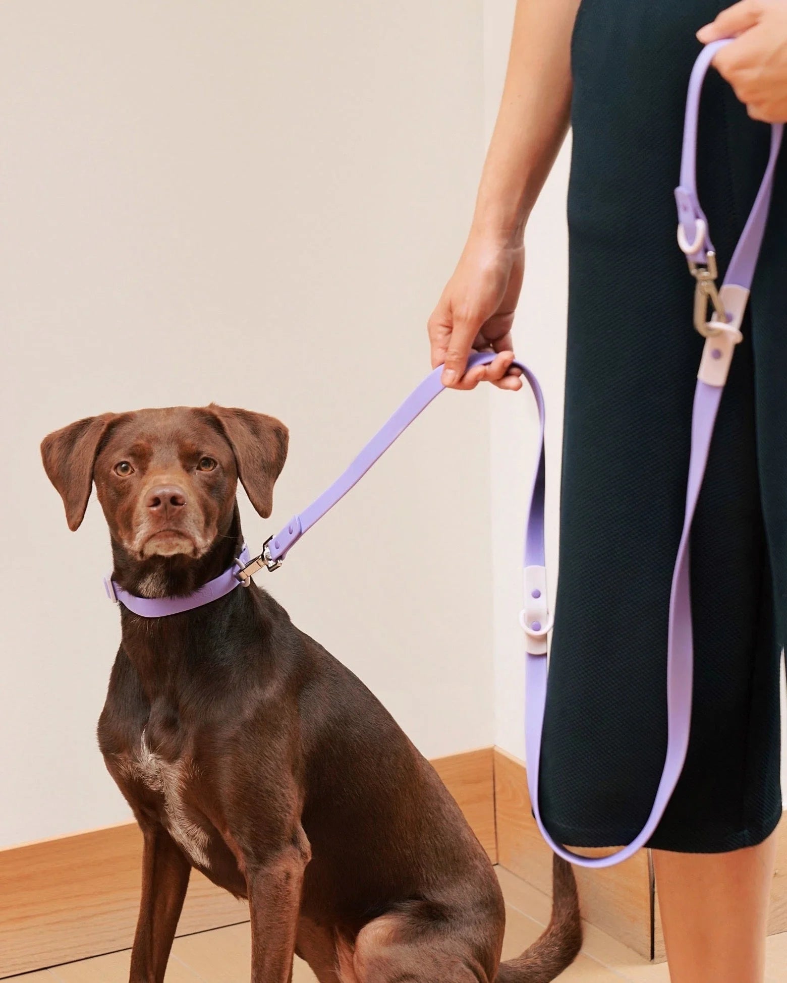 The Fritz Guinzaglio S