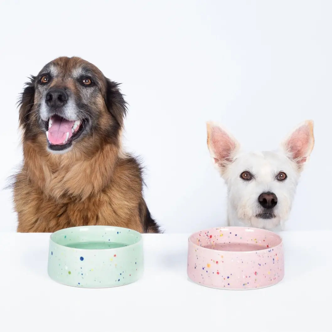 Ciotola party medium