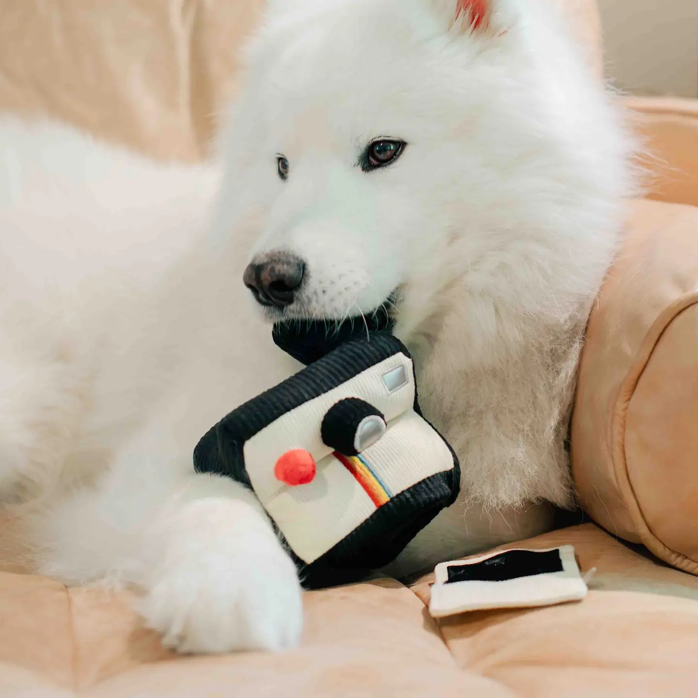 Instant Camera
