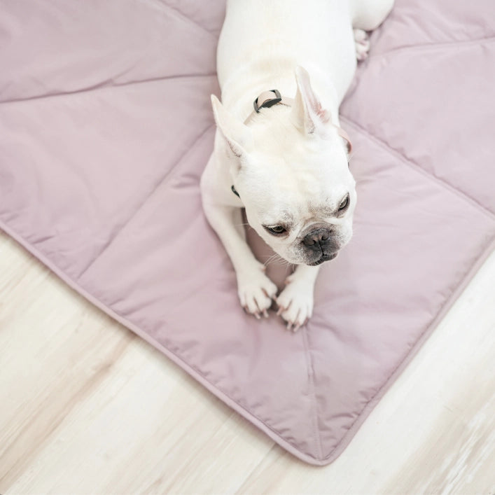 Dog mat