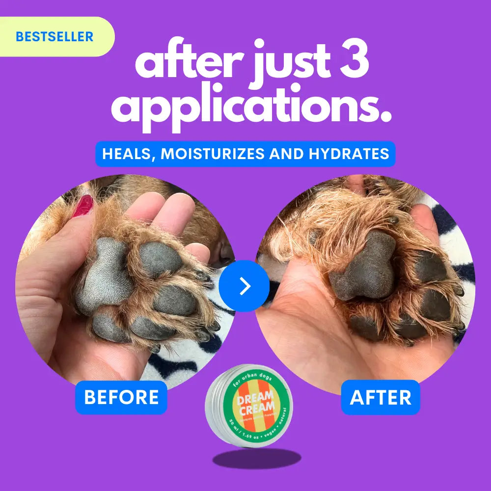 Dream Cream – Crema Idratante Nutriente Multifunzione per Cani, 97% Naturale