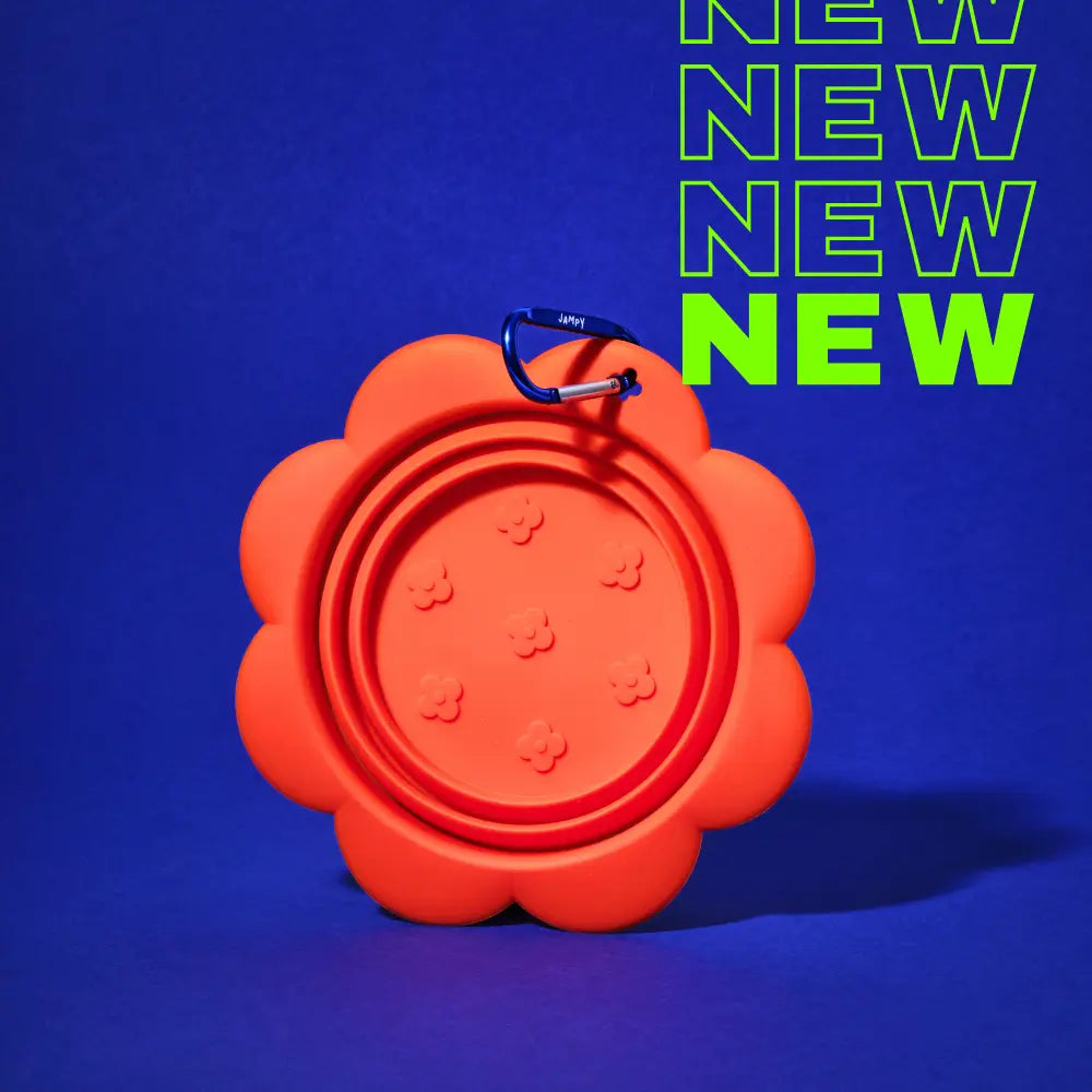 Flower Bowl – Ciotola da Viaggio Pieghevole in Silicone per Cani