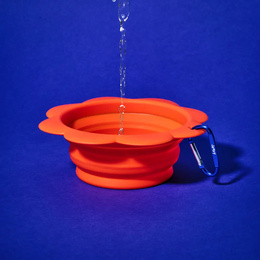 Flower Bowl – Ciotola da Viaggio Pieghevole in Silicone per Cani