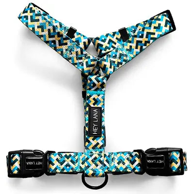 Pettorina Colour Hey Lana