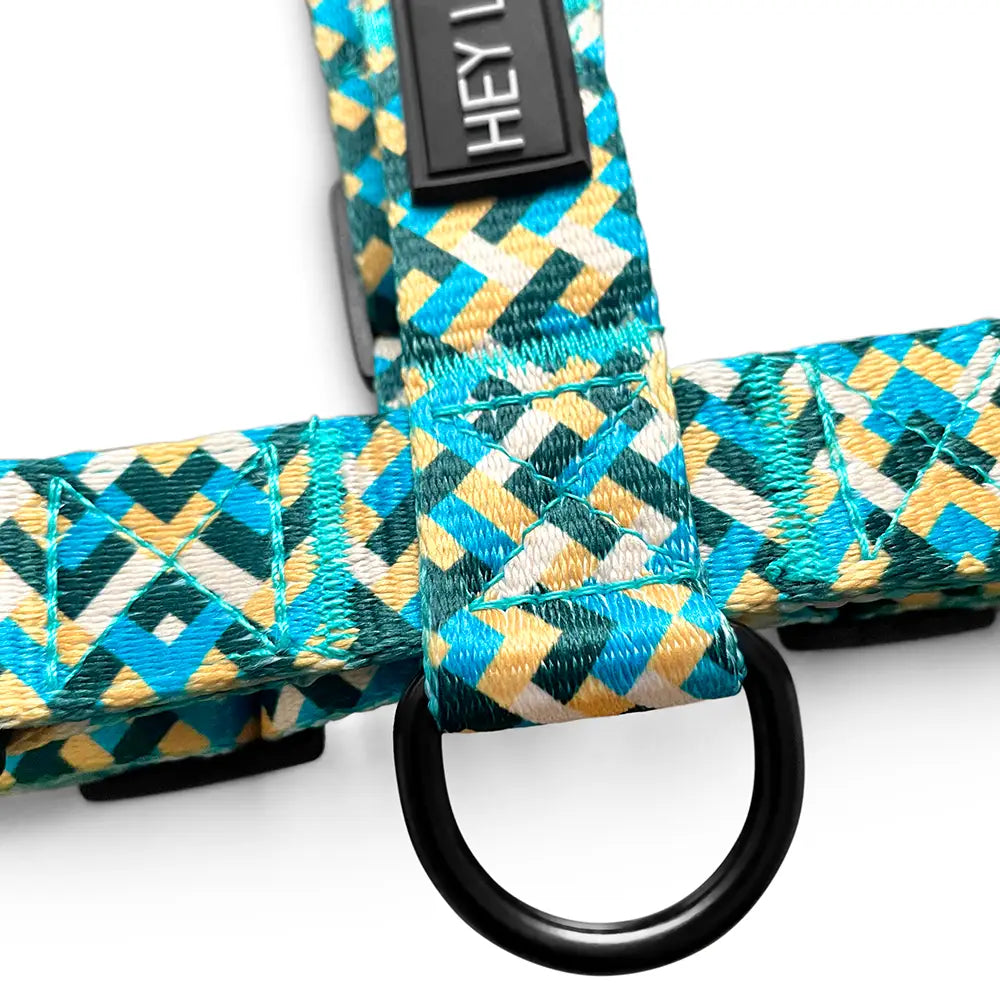 Pettorina Colour Hey Lana