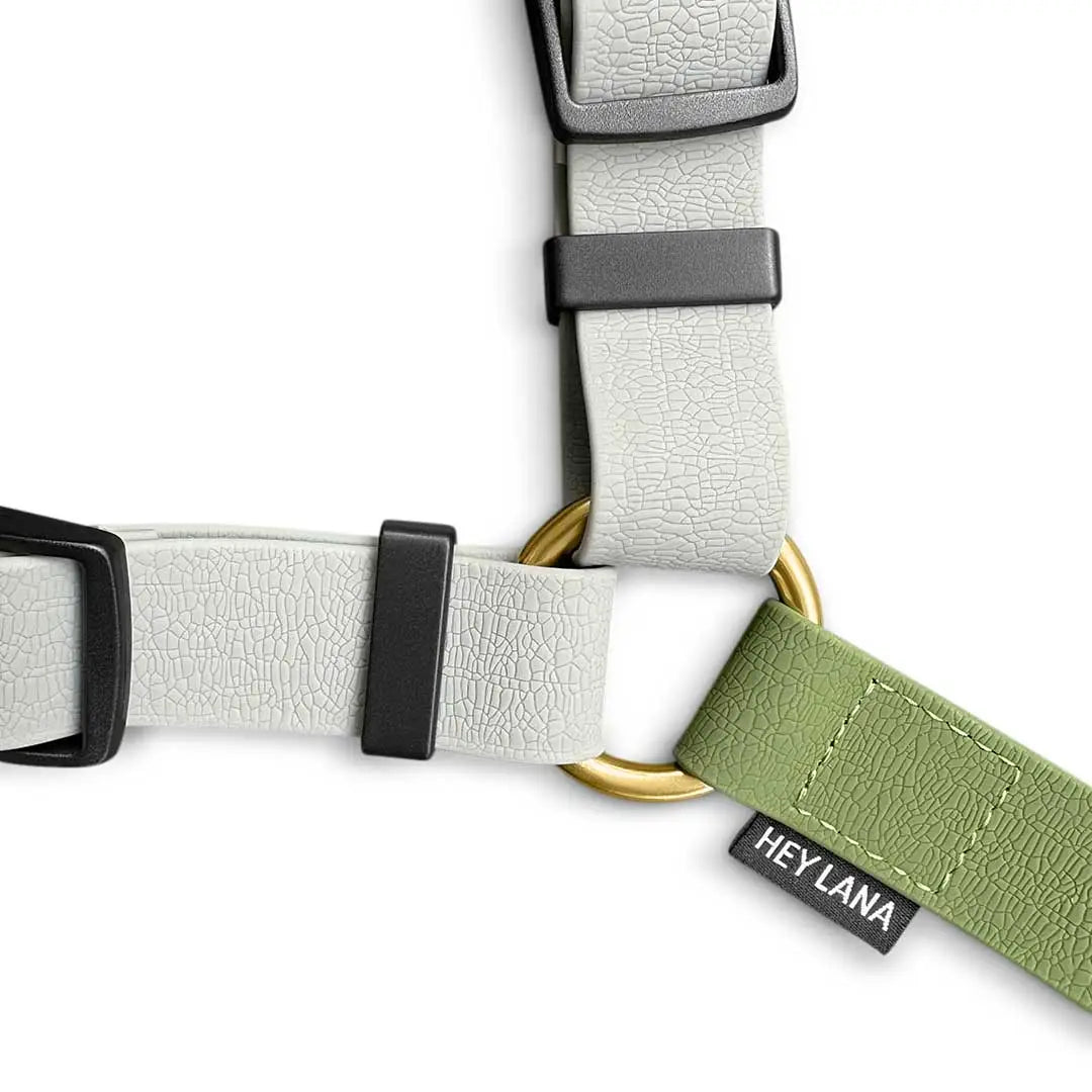 Pettorina silicone Hey Lana