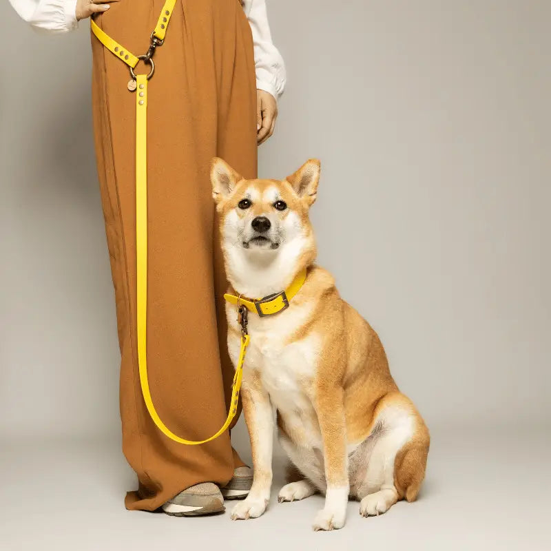 Leave – Guinzaglio Multiposizione in Biothane® Kitsune