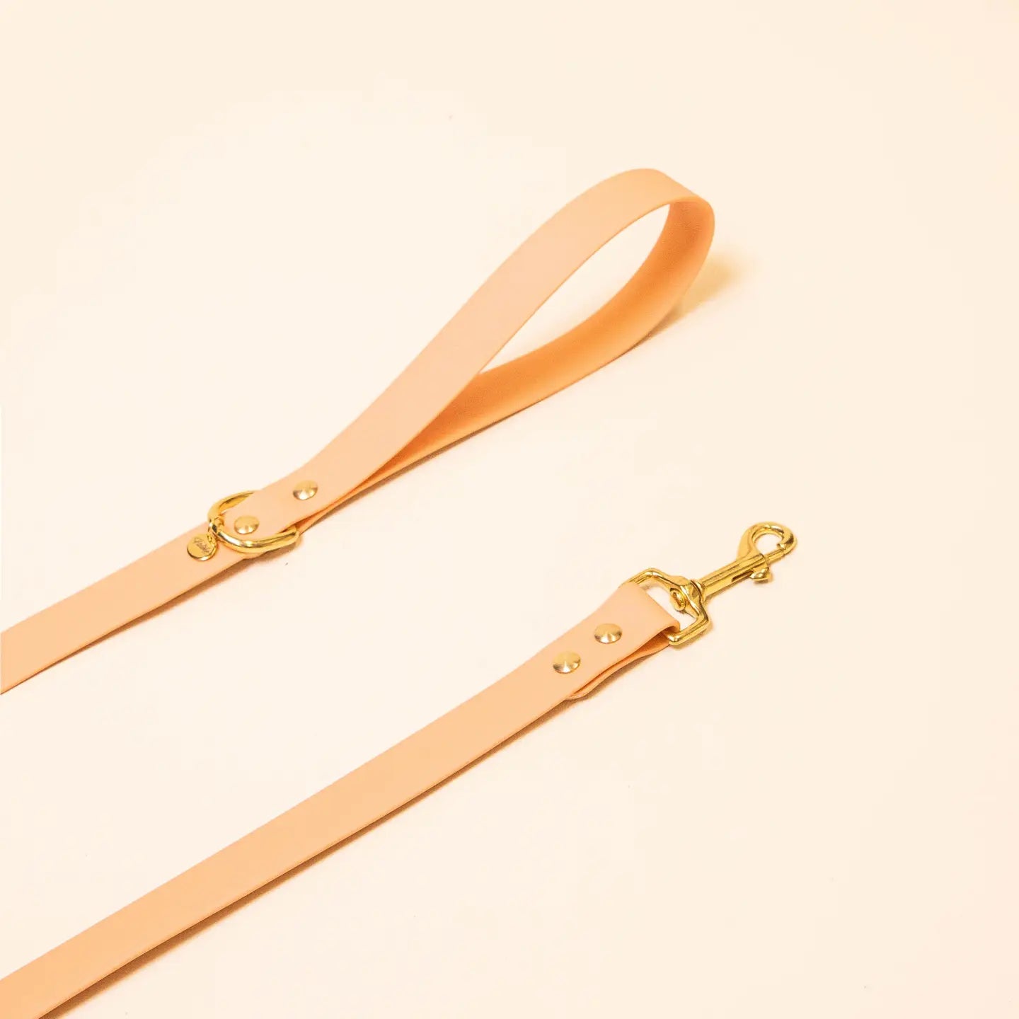 Guinzaglio "The Adventurer"