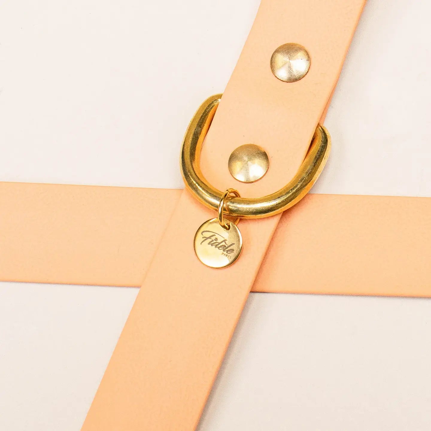 Guinzaglio "The Adventurer"