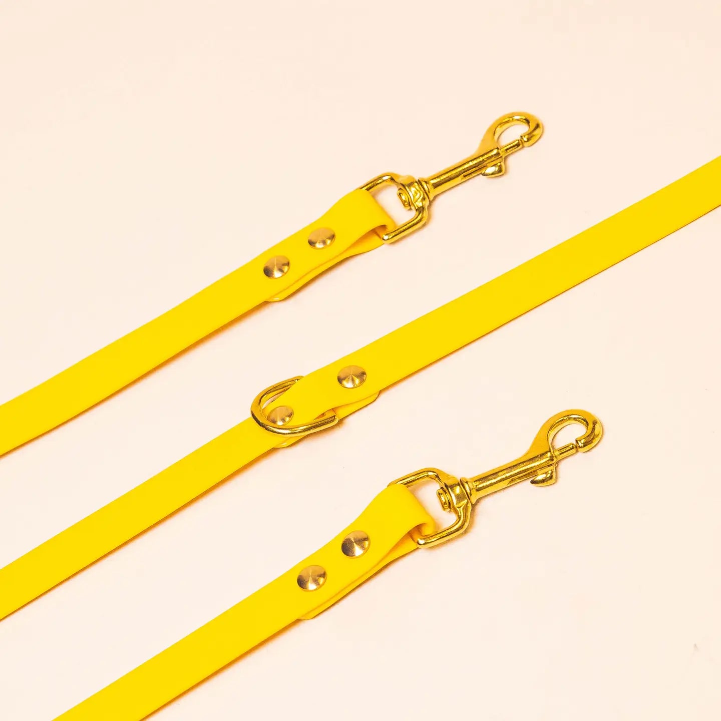 Guinzaglio Multiposizione Fidele Paris