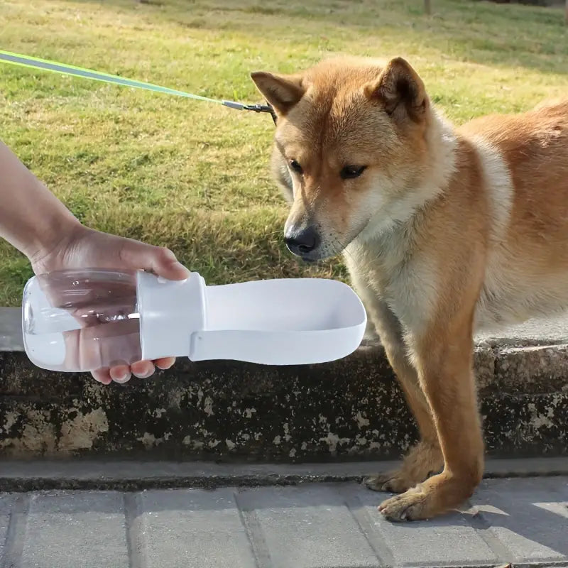 Borraccia Portatile per Cani con Ciotola Integrata