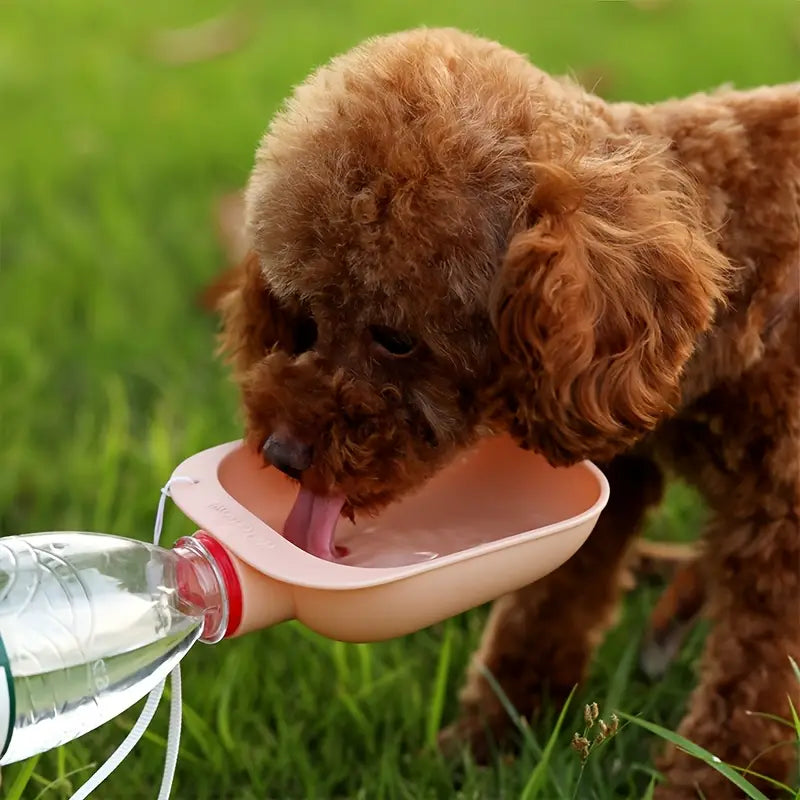 Borraccia da Viaggio per Cani con Ciotola Integrata