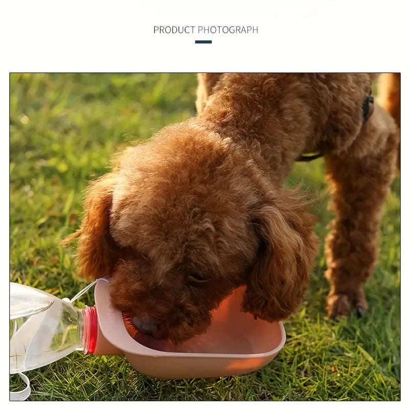Borraccia da Viaggio per Cani con Ciotola Integrata