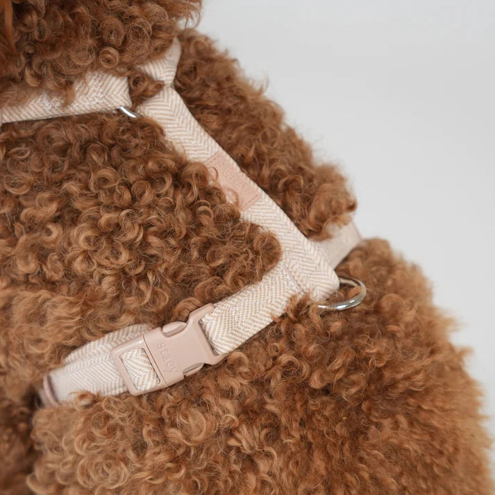 Tara H-Strap Dog Harness