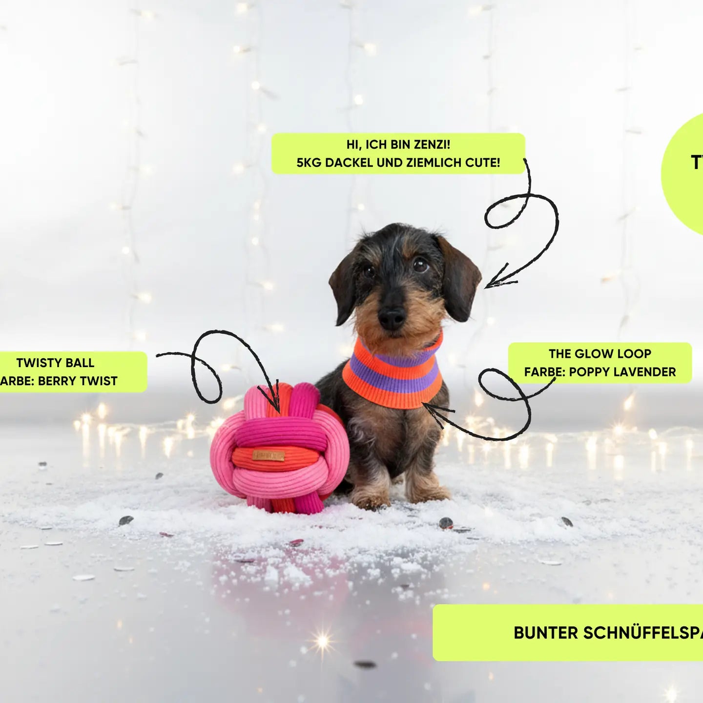 The Twisty Ball – Interactive Snuffle Ball For Dogs