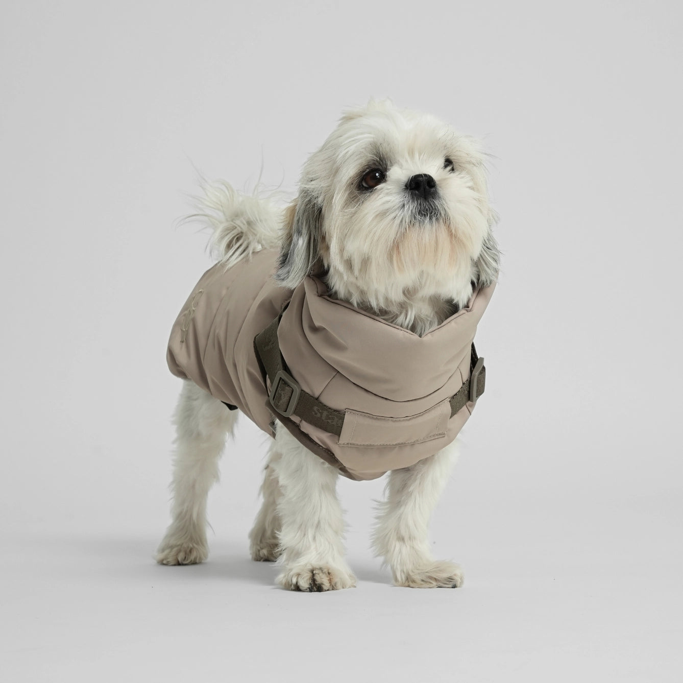 Vera Dog Coat with Harness