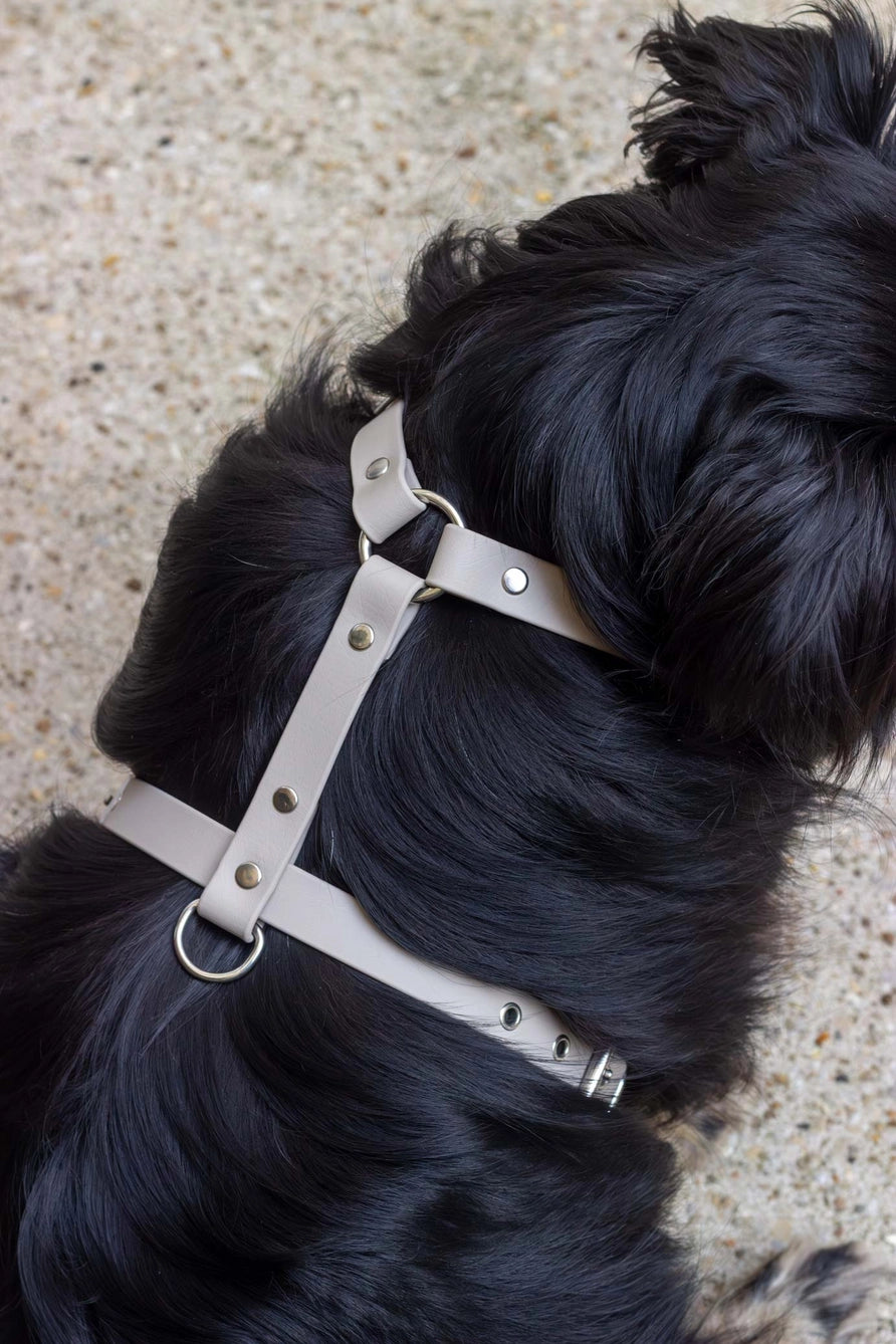 Sand Harness
