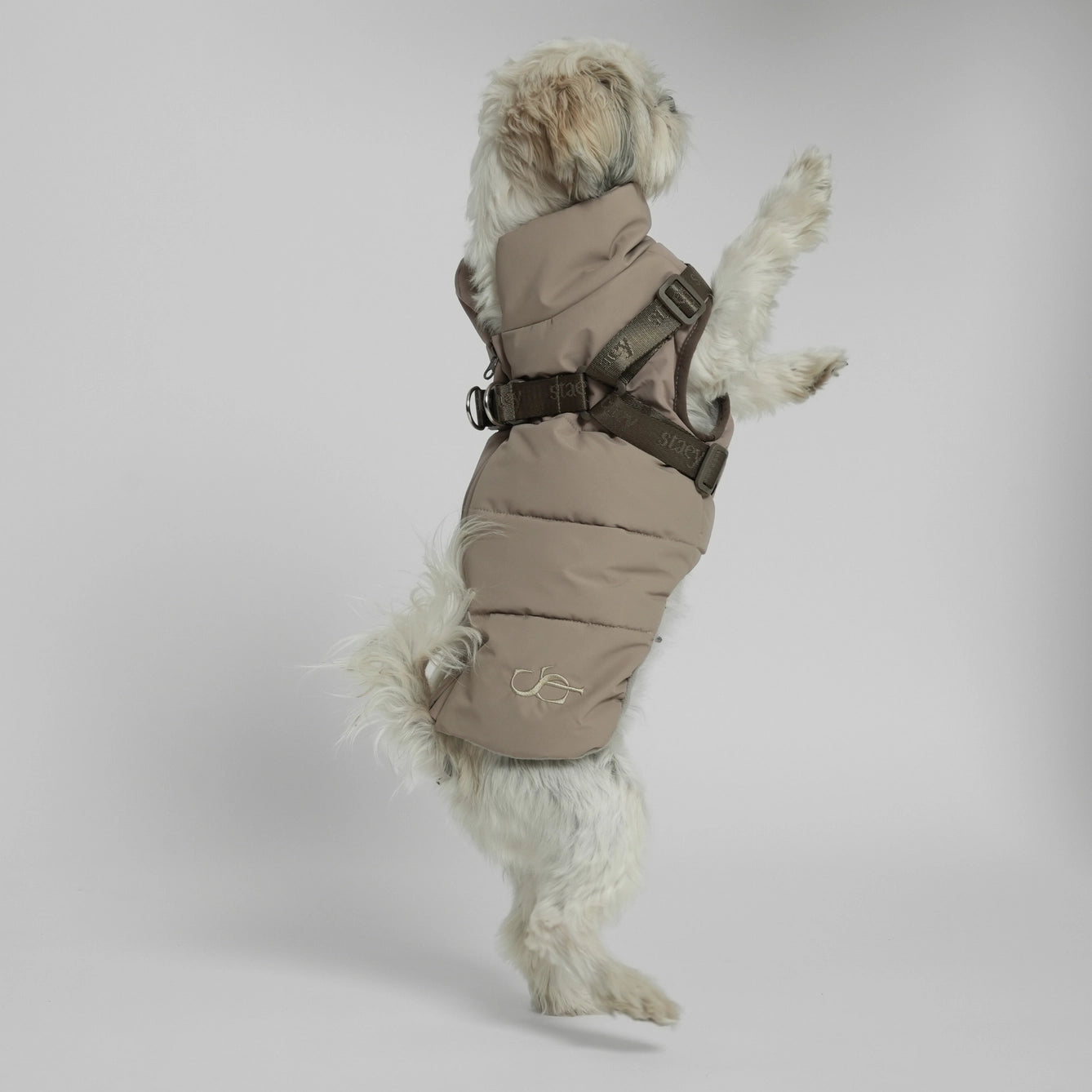 Vera Dog Coat with Harness