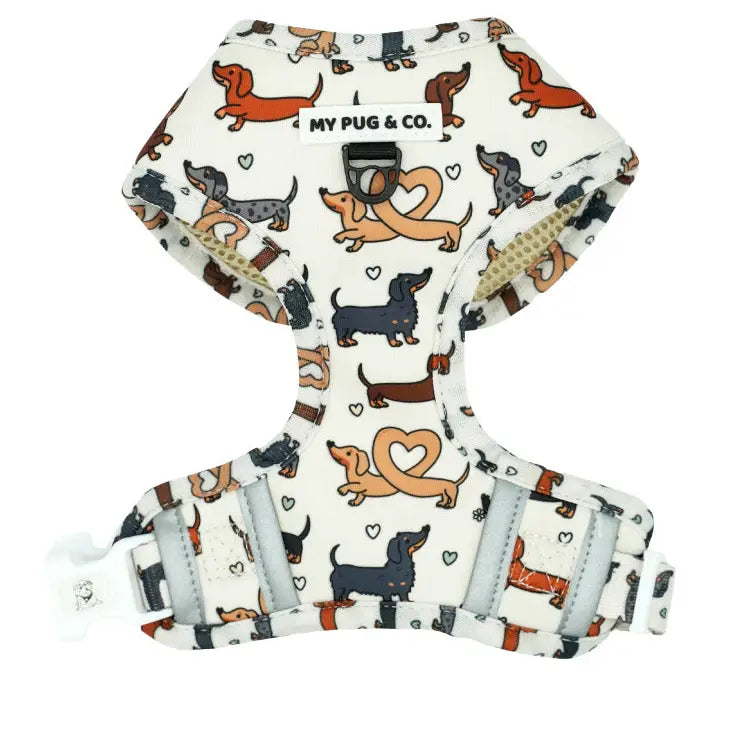 Pettorina Regolabile Imbottita Anti-Fuga per Bassotti