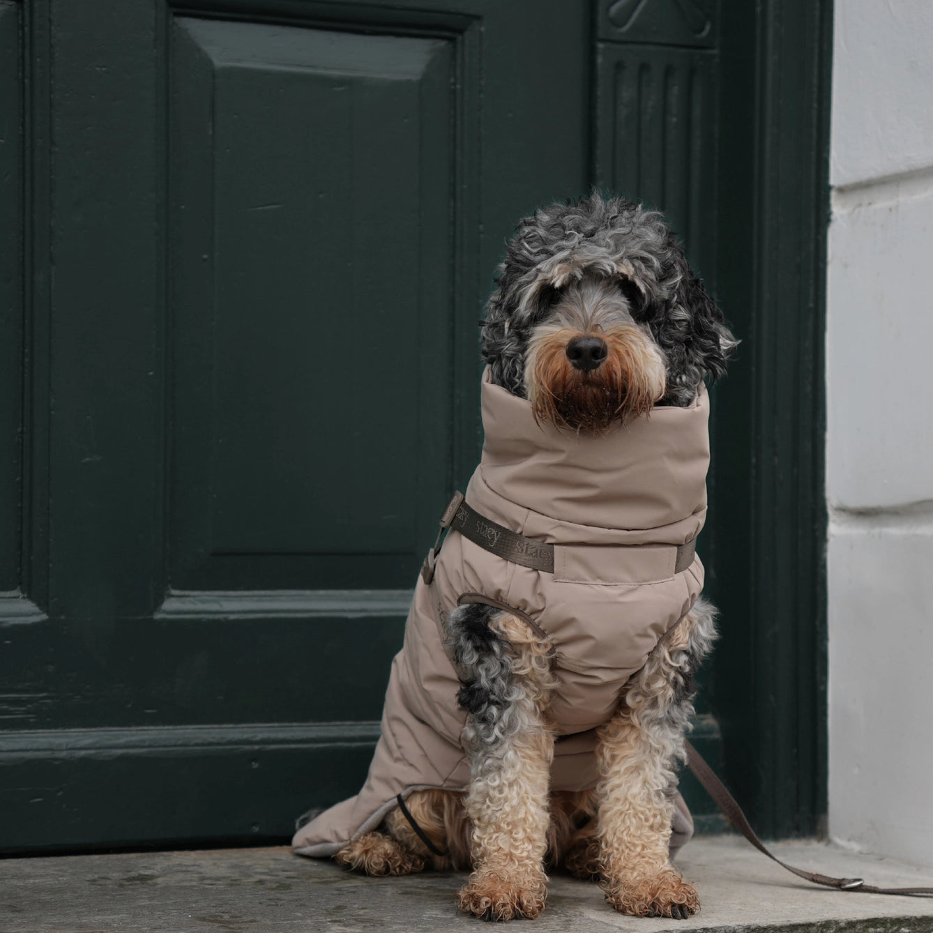 Vera Dog Coat with Harness