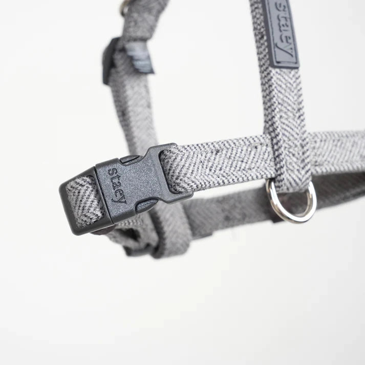 Tara H-Strap Dog Harness