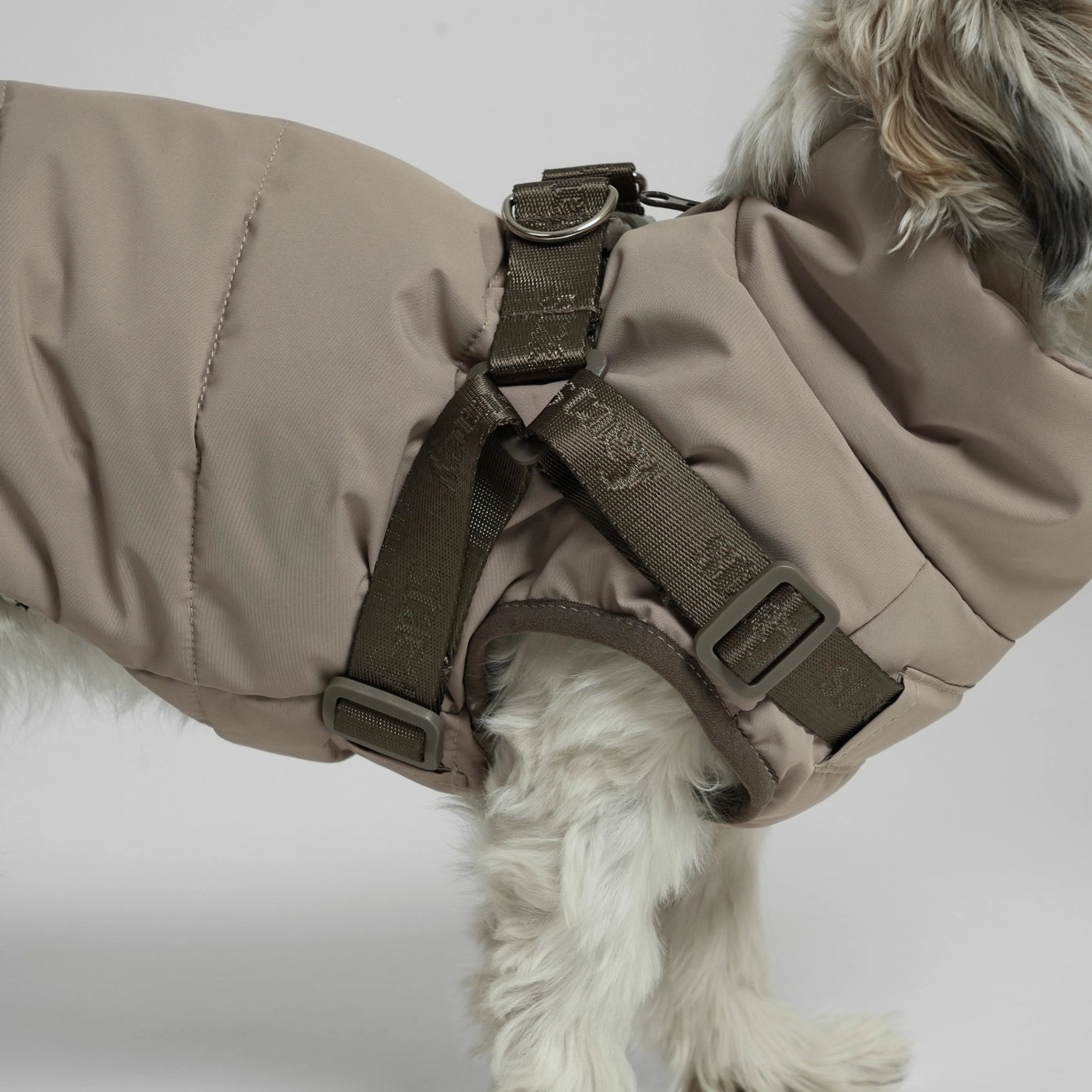 Vera Dog Coat with Harness