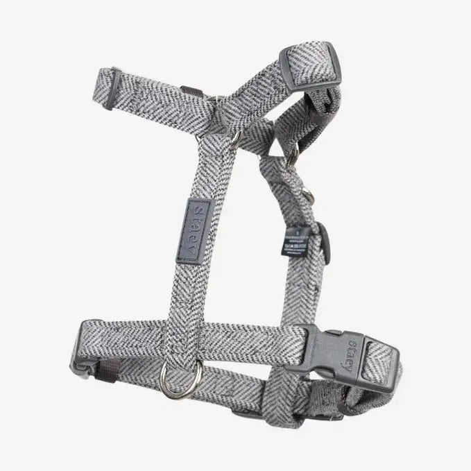 Tara H-Strap Dog Harness